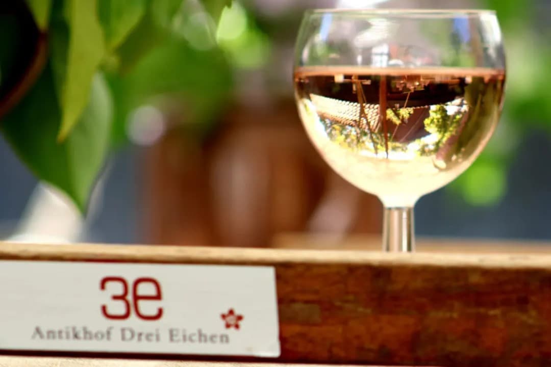 Bei einer Veranstaltung auf dem Antikhof Drei Eichen