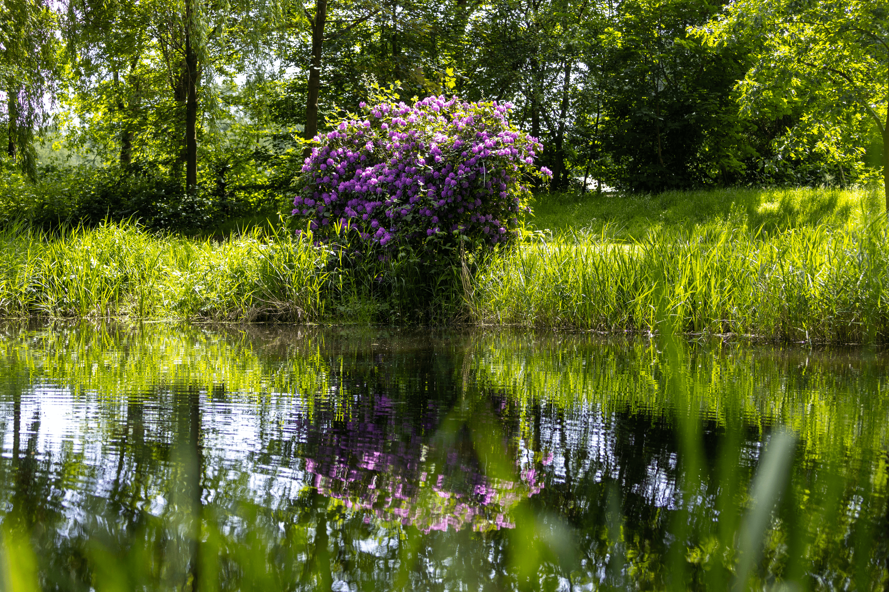 Garten vom Gutshof im Oertzetal in Oldendorf bei Hermannsburg