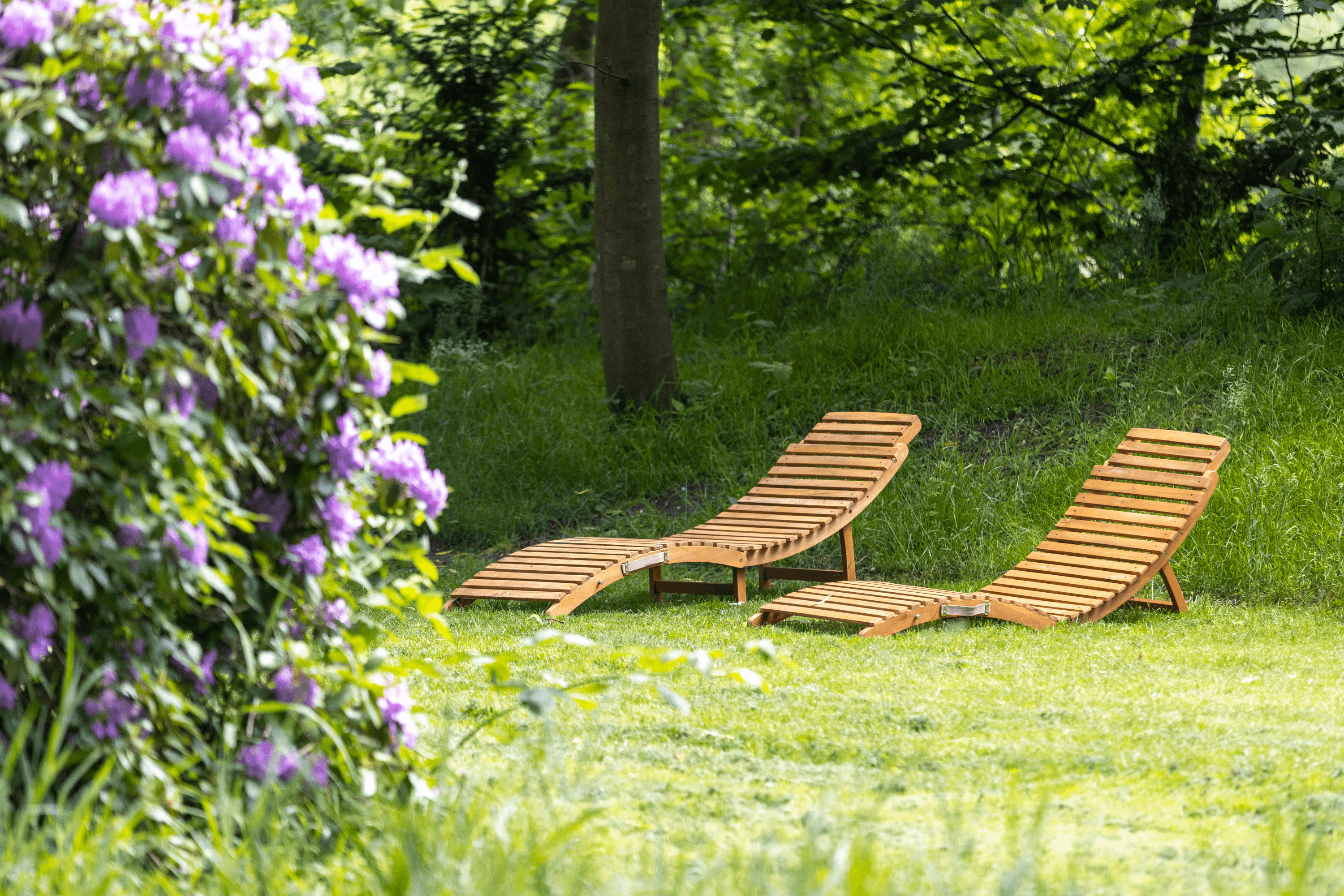 Garten vom Gutshof im Oertzetal in Oldendorf bei Hermannsburg