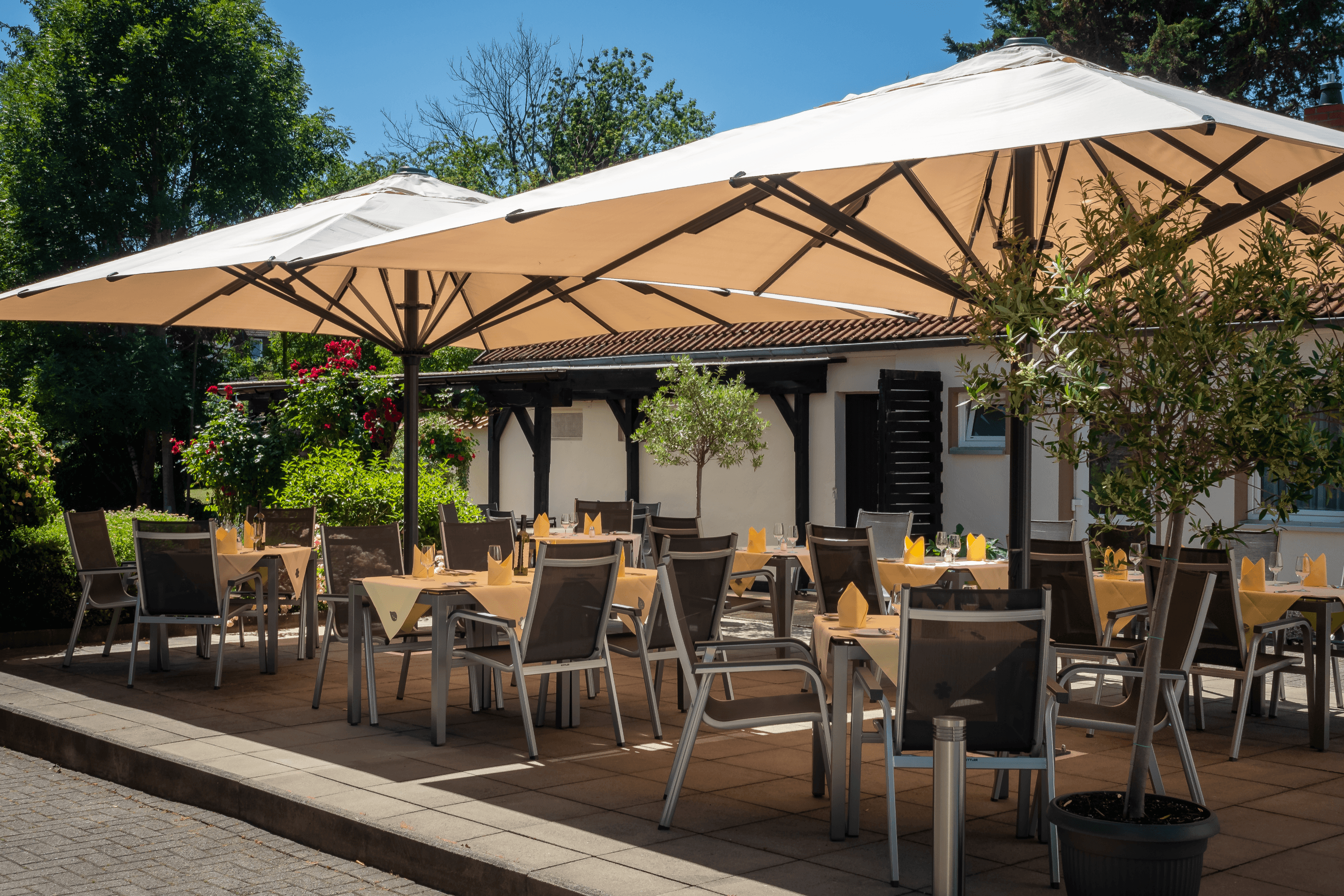 Terrasse an Schapers Hotel in Celle