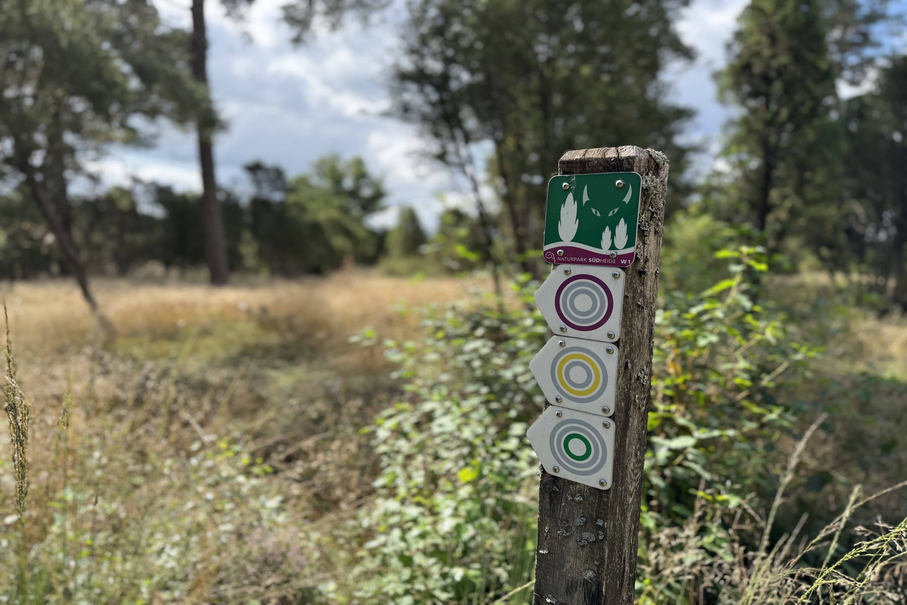 Wanderung durch den Wacholderwald in der Teufelsheide