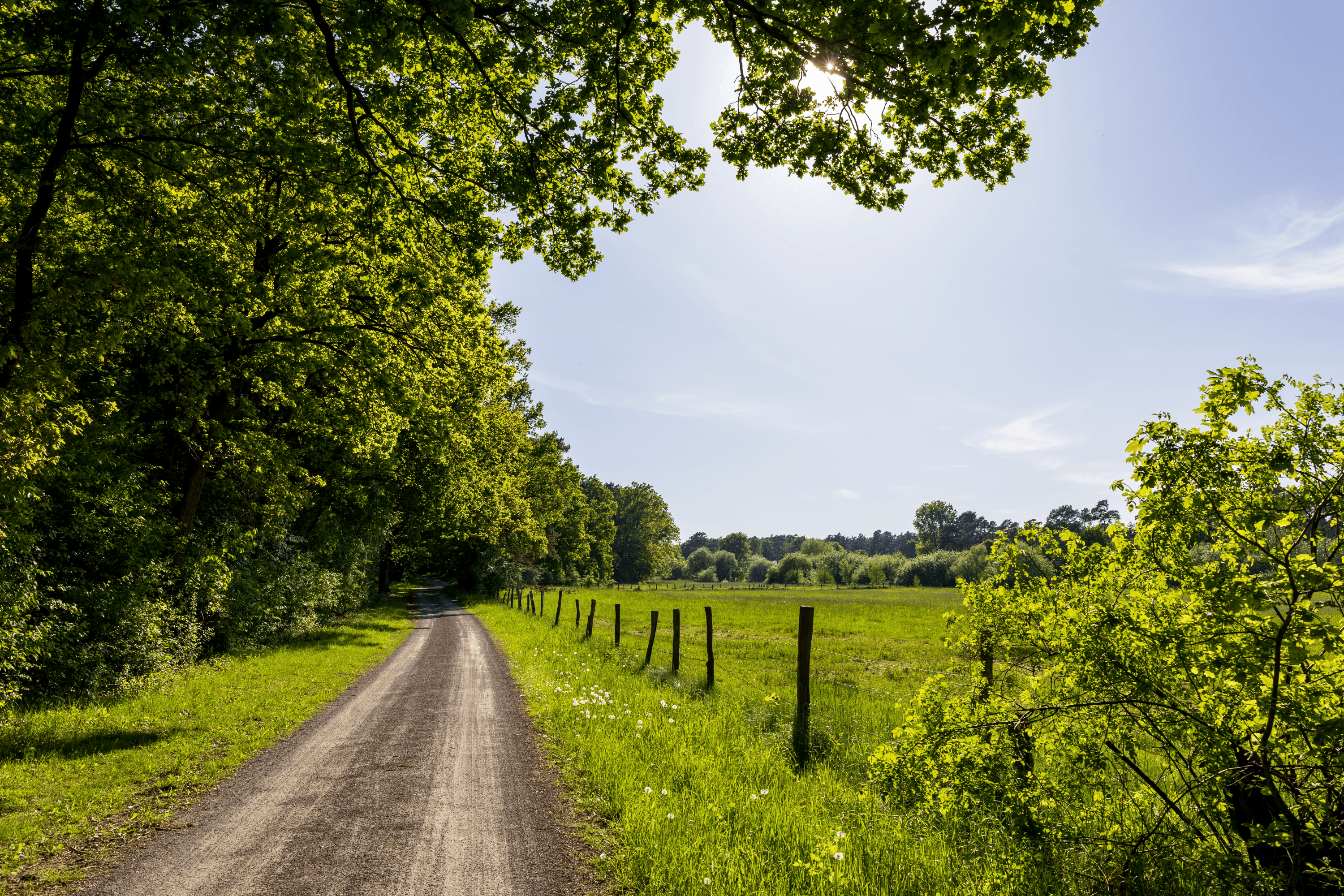 Allertal bei Winsen (Aller)