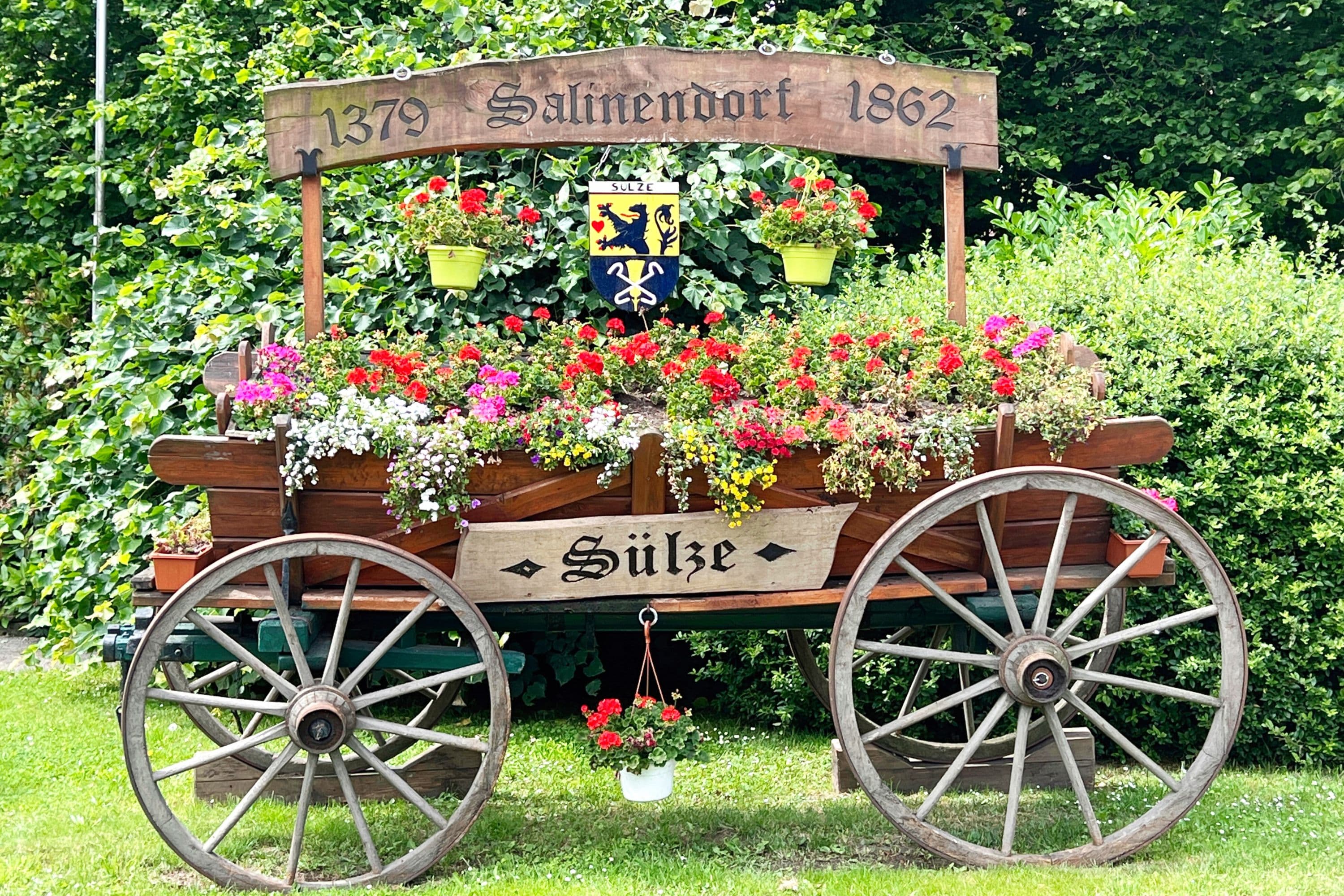 Willkommen in Sülze