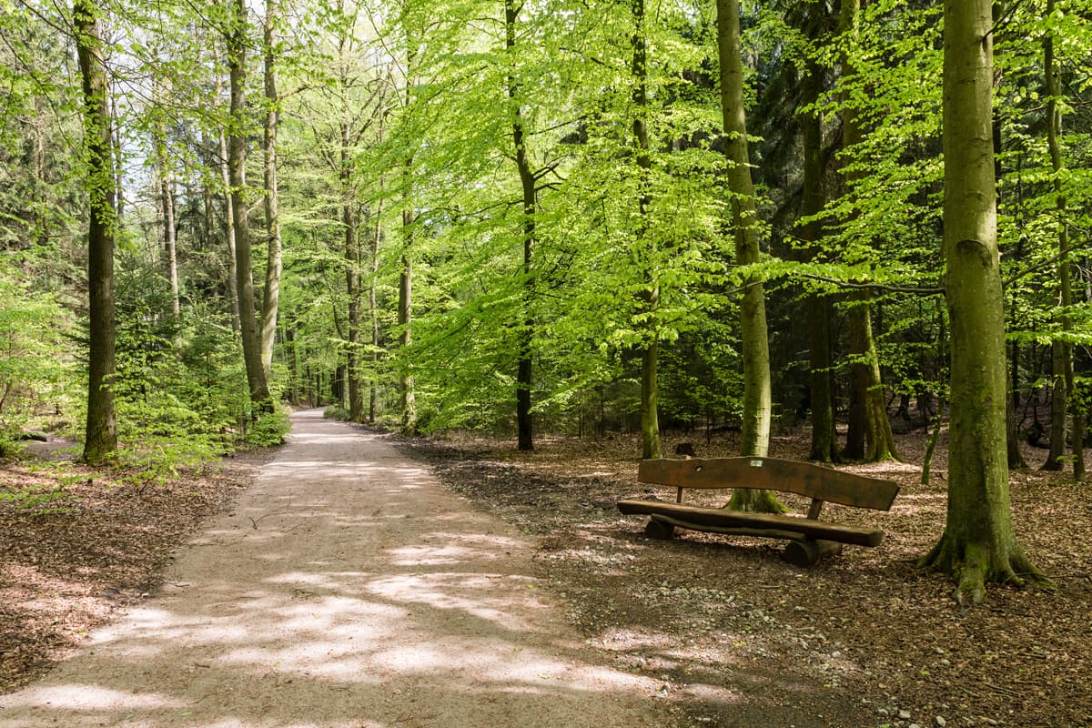 Wanderweg für familien