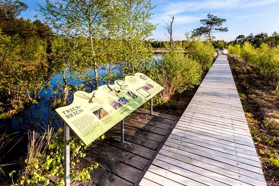 Infotafel auf dem Wanderweg erzählen über das Pietzmoor