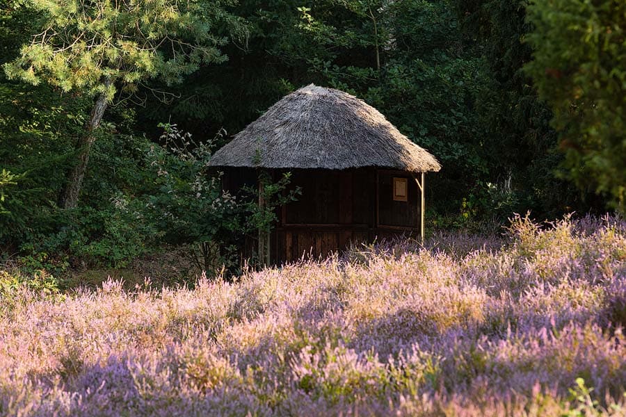 Das Marxener Paradies bei Amelinghausen