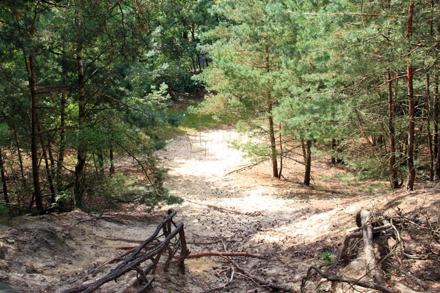 Binnendüne,Bendestorf,Jesteburg,Lüneburger,Heide