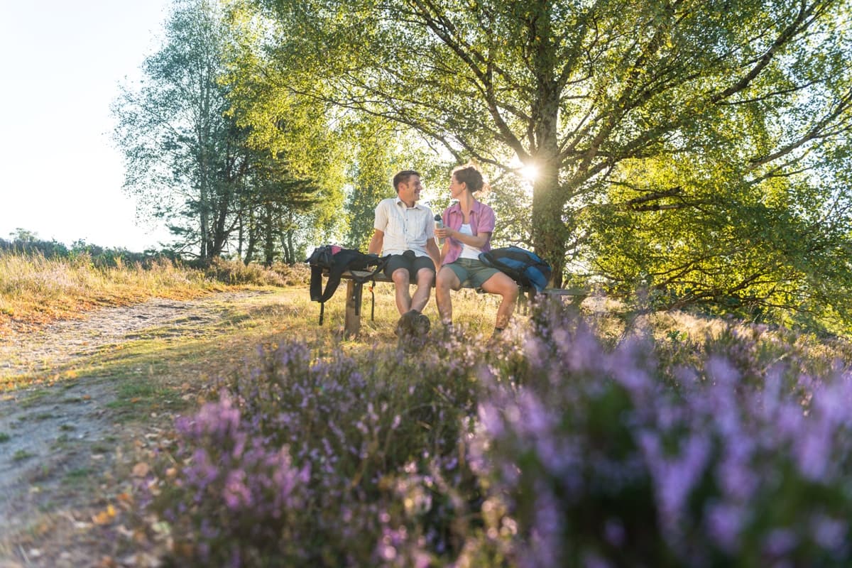 Picknick am Brunsberg