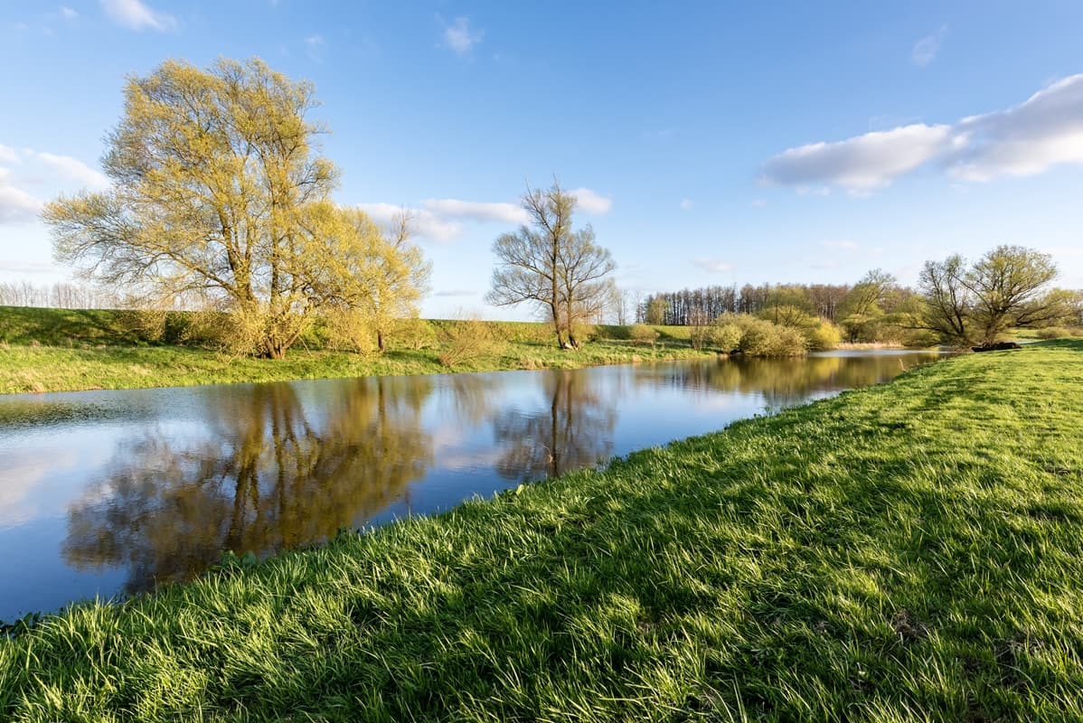 Seeveniederung Seeve Seevetal Fluss Naturschutzgebiet