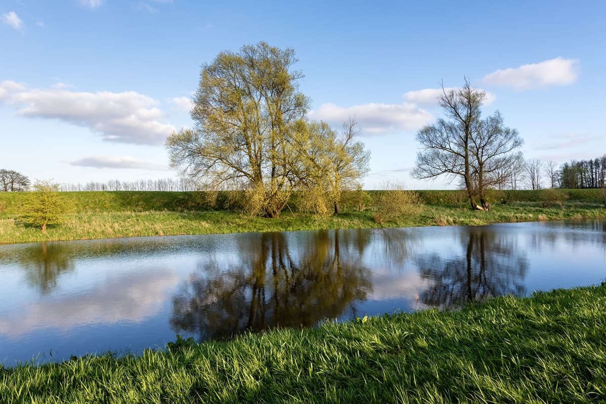 Seeveniederung Seeve Fluss Seevetal Lüneburger Heide Naturschutzgebiet