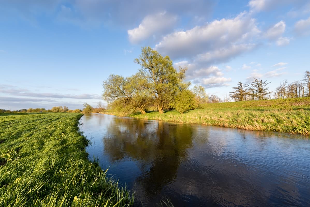 Seeveniederung Seeve Fluss Seevetal Lüneburger Heide Naturschutzgebiet