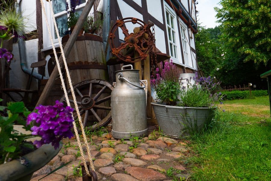 Idyllische Kulisse auf dem Antikhof Drei Eichen