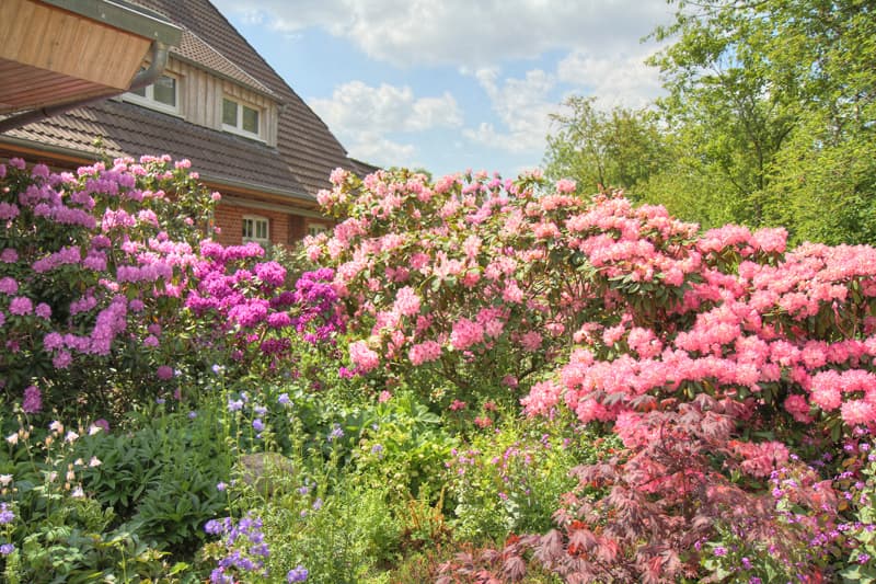 biohotel spöktal bispingen