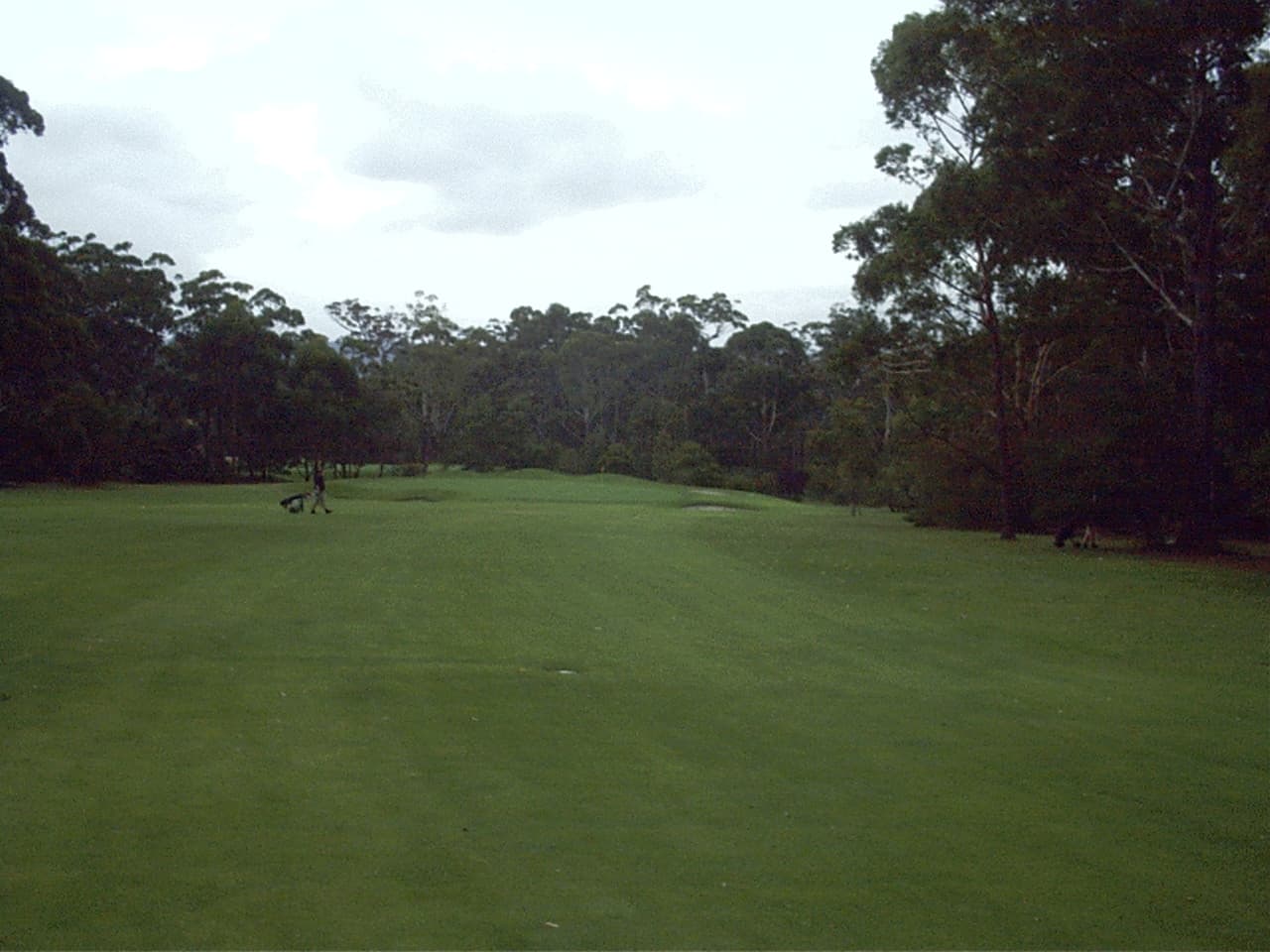 Seminar HOTEL Schulz