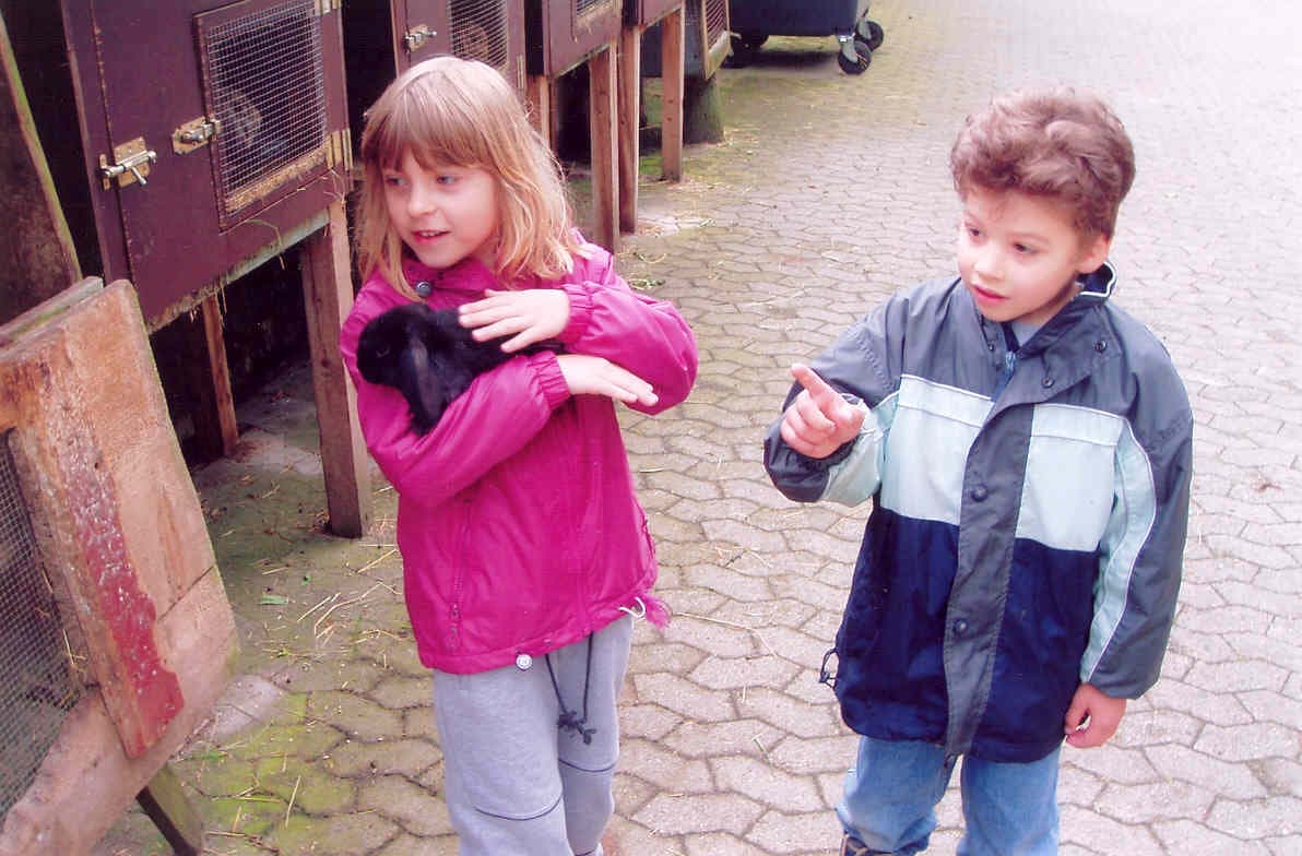 Kreuger's Hof *****/****