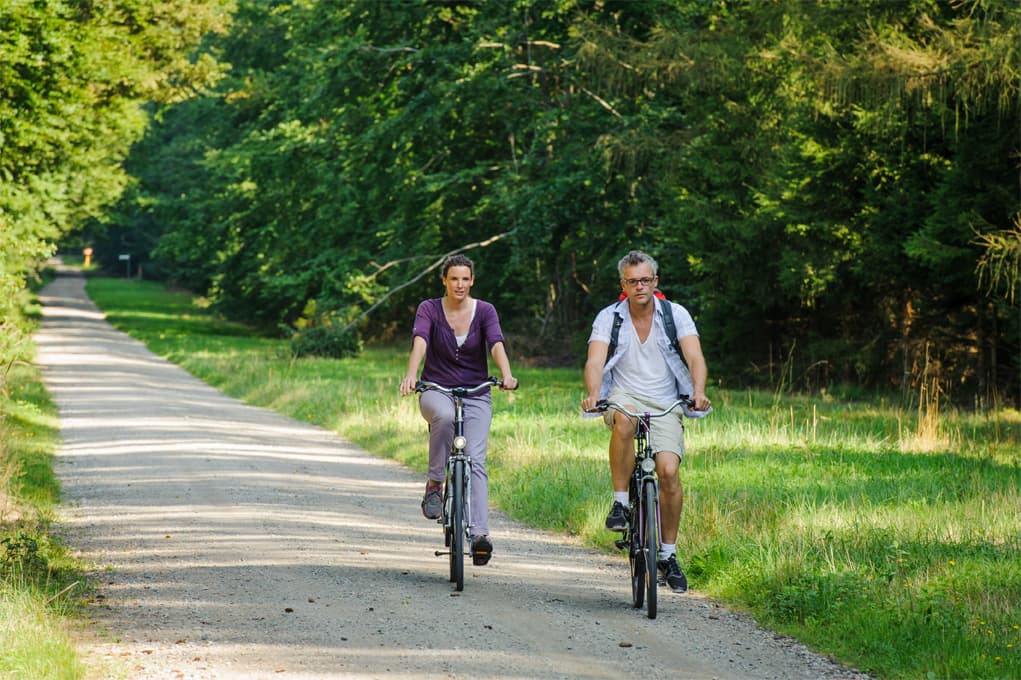 Naturpark Südheide, Radfahren, Lüneburger Heide