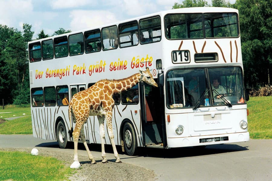 Serengeti,Park,Hodenhagen,Tierpark,Zoo,Wildpark,Erlebnispark,Freizeitpark,Hotel,Übernachten,Masai,Mara,Safari,Hotels,rund,um,Nähe,Parken,Eintritt,Kosten,Eintrittspreis,