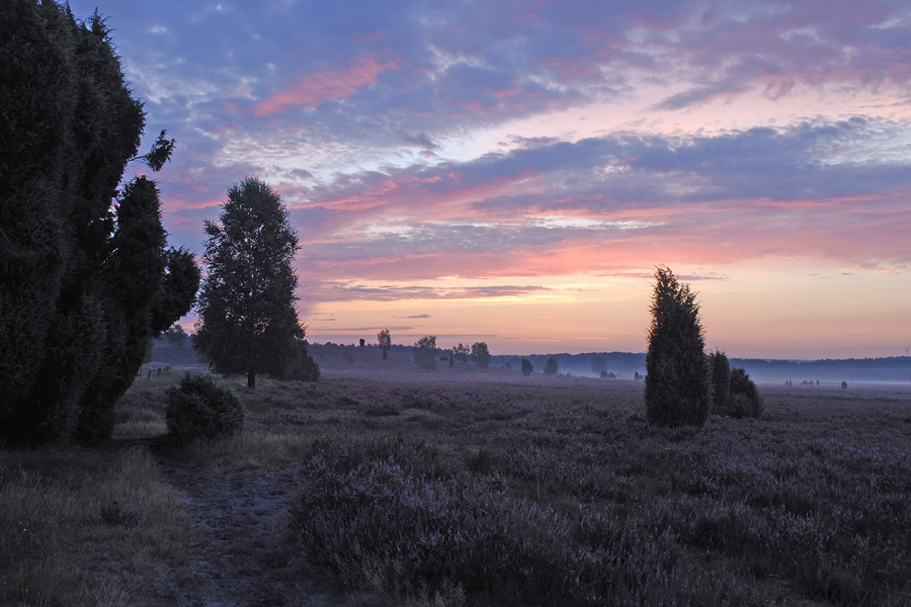 Sonnenuntergang in der Lüneburger Heide