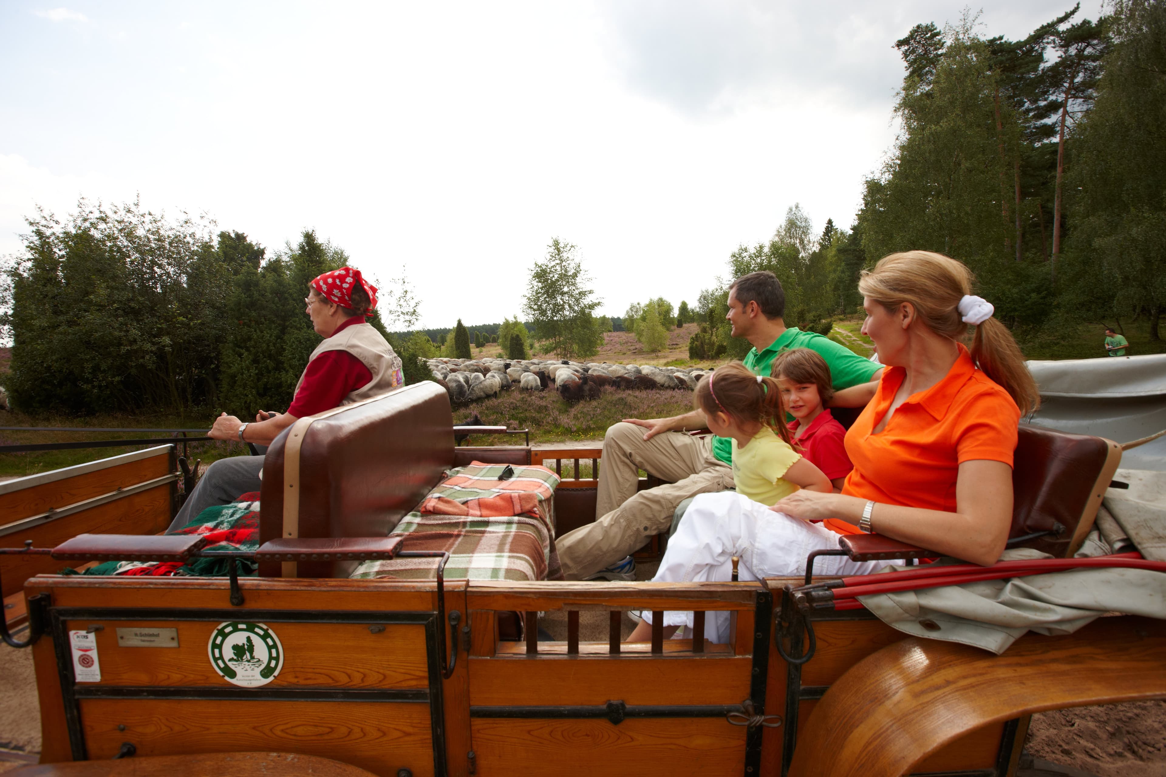Kutschfahrten durch die Lüneburger Heide für die ganze Familie