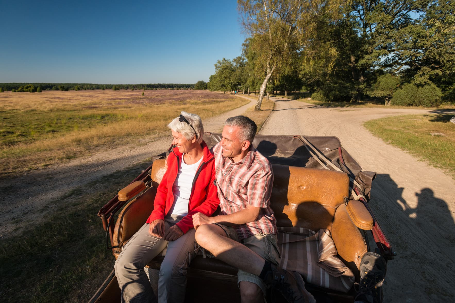 Durch das autofreie Naturschutzgebiet kann man mit der Kutsche fahren