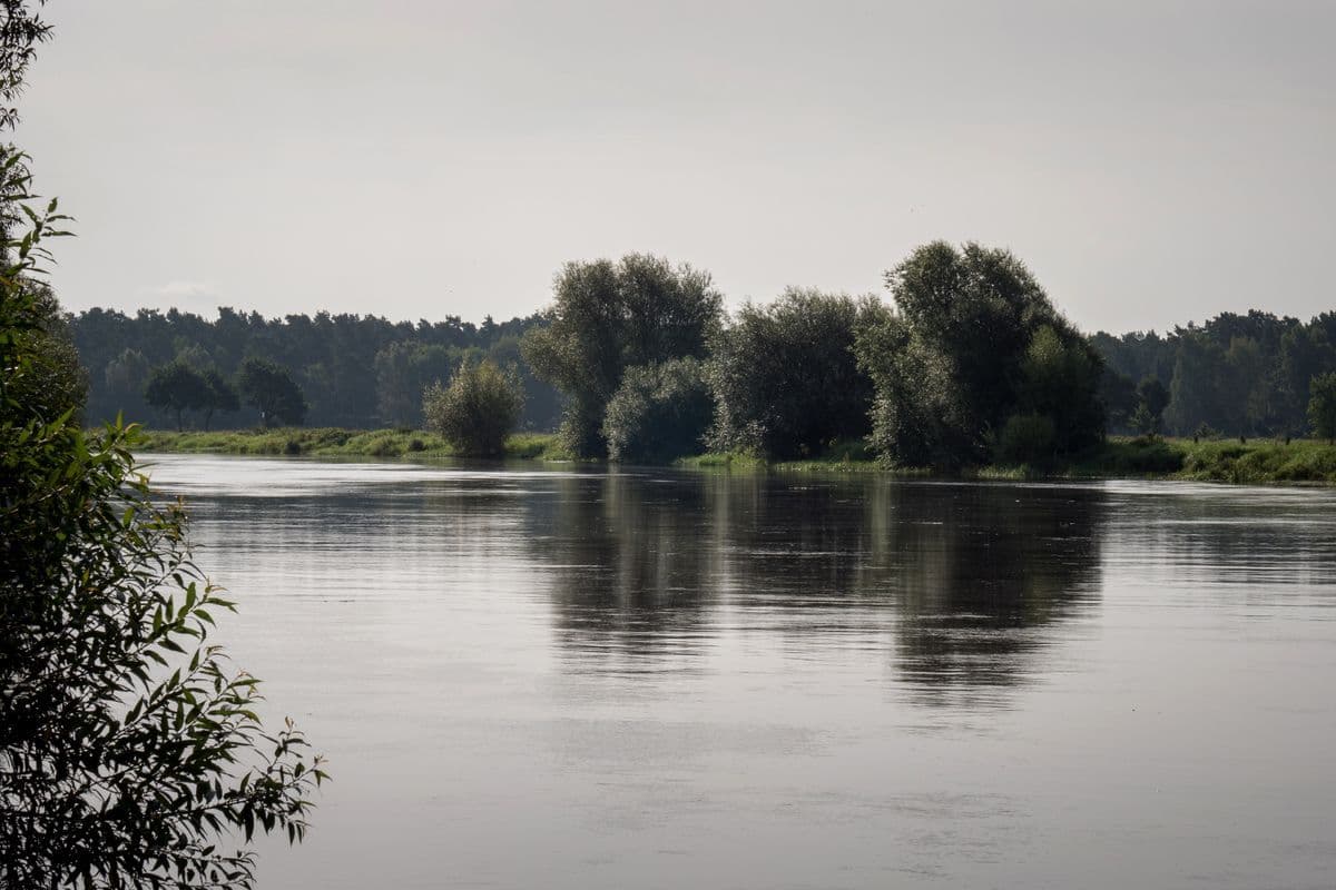 Die Aller fliesst gemächlich durch die Lüneburger Heide
