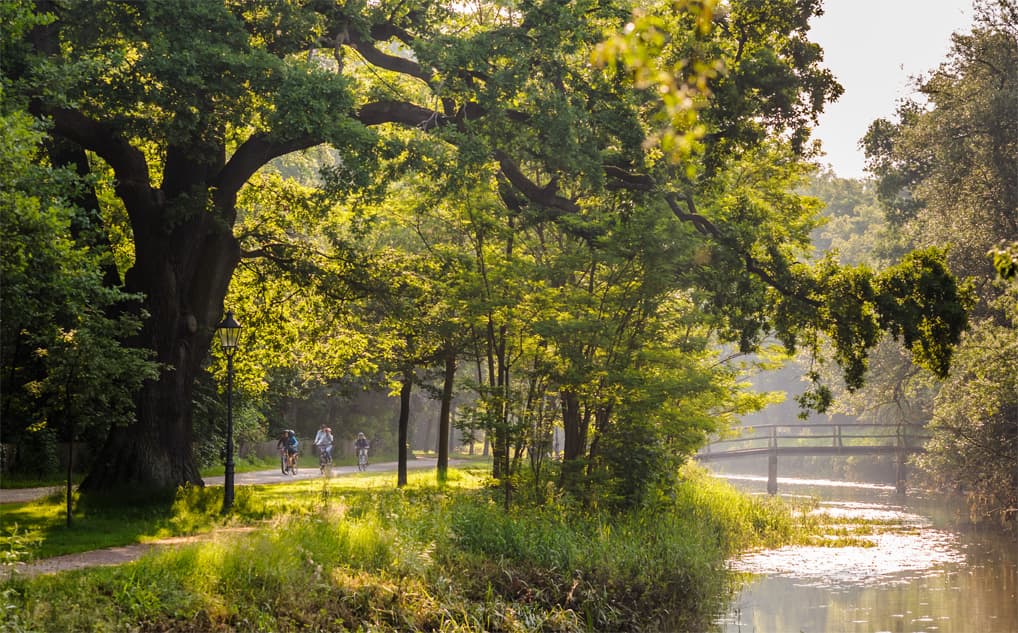 aller, wienhausen, celle