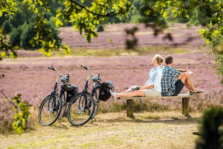 radwege lüneburger heide mehrere tage rundtour