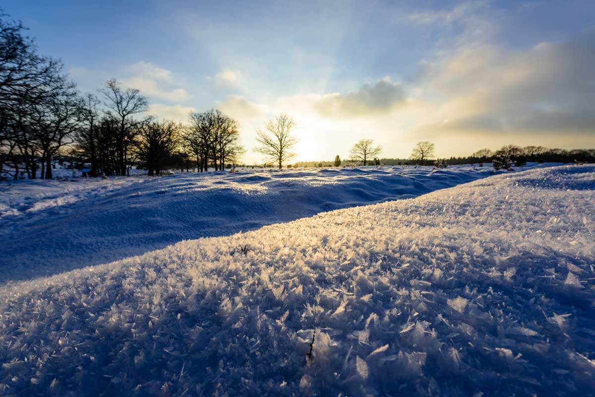 Naturschutzgebiet Lüneburger Heide im frostigen Winter