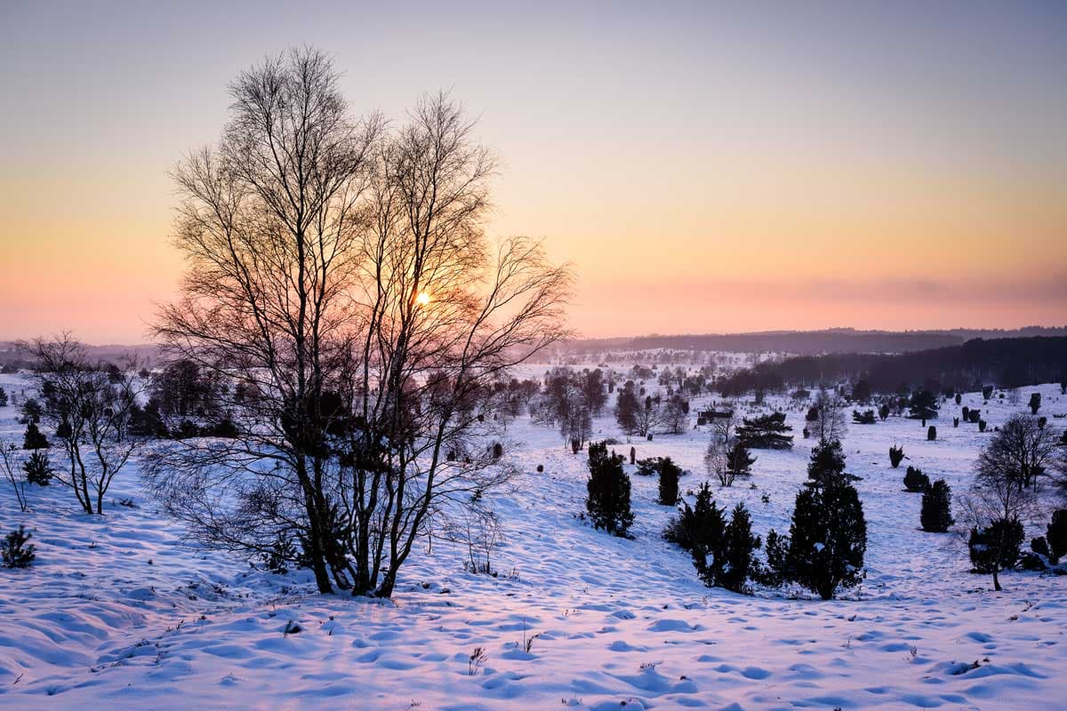 Naturschutzgebiet Lüneburger Heide mit Schnee
