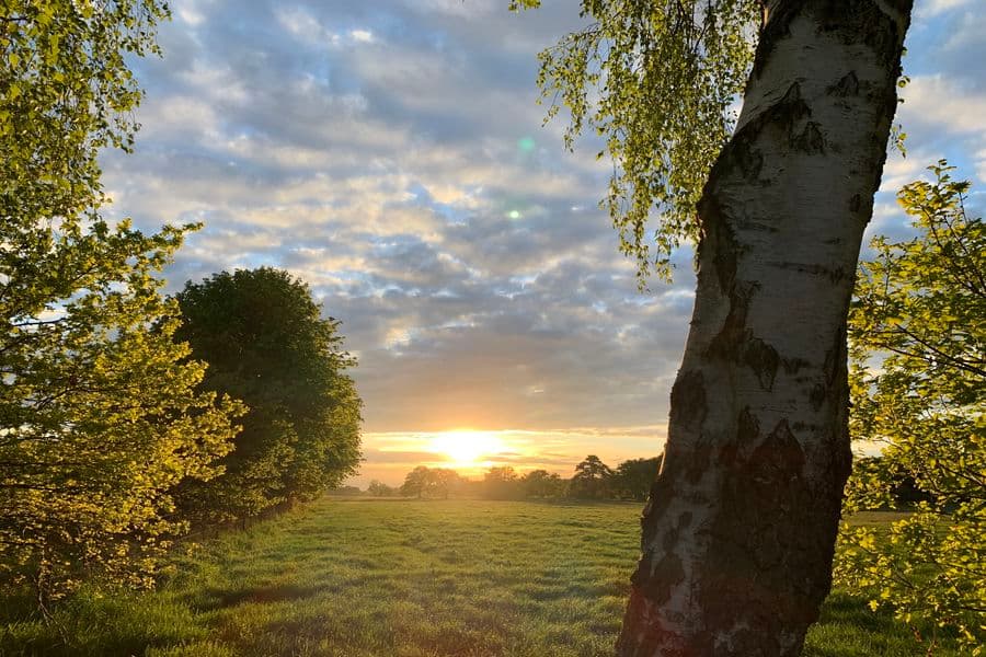Sonnenuntergang über dem Klosterpark