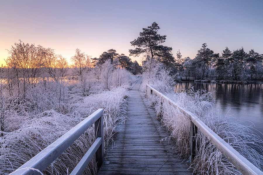 Pietzmoor in Schneverdingen im Winter mit Frost und Schnee Lüneburger Heide