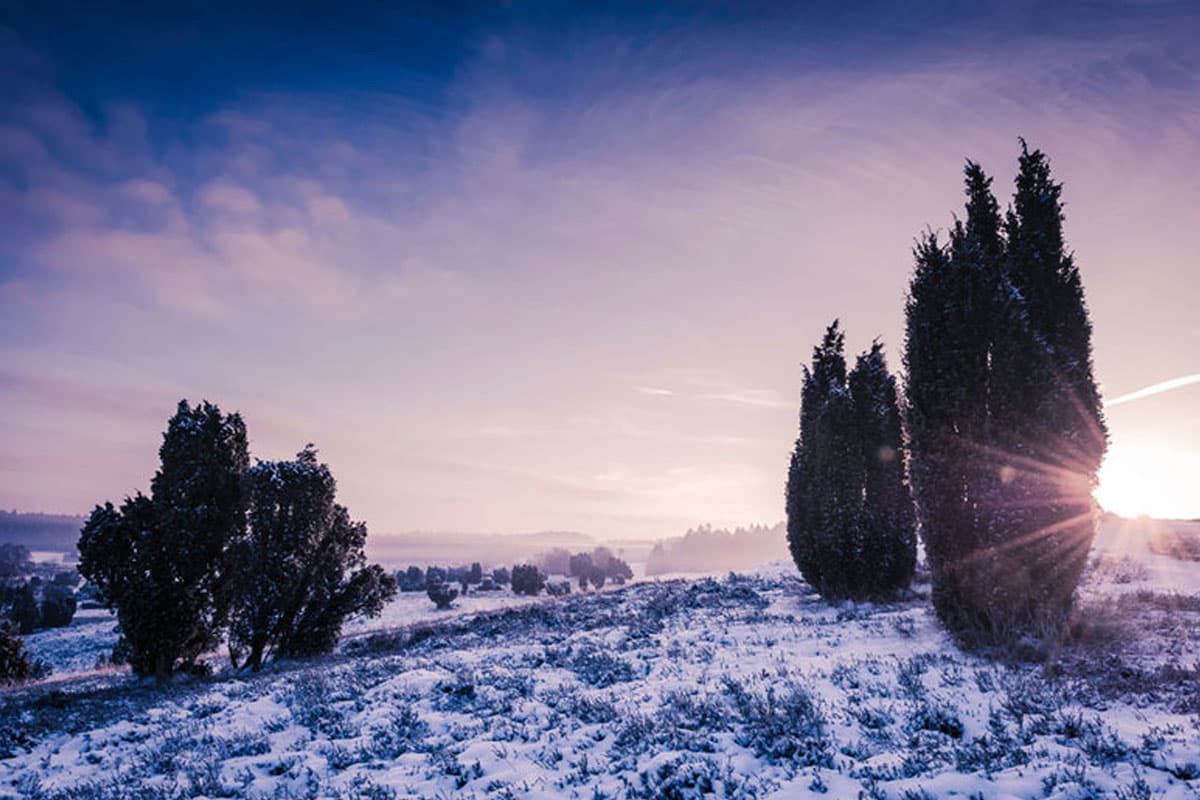 schnee in der Lüneburger Heide