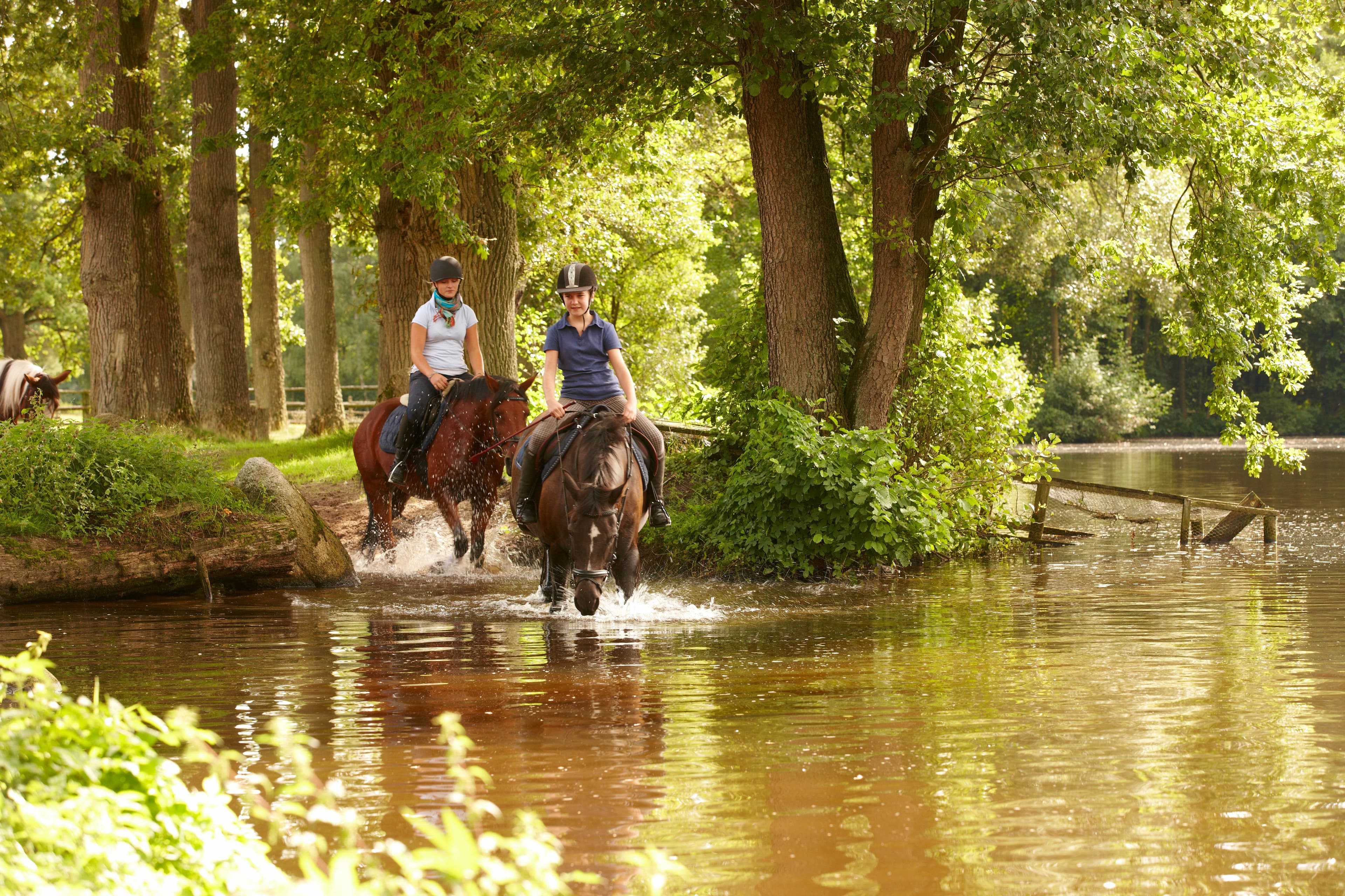 zwei Reiterinnen mit ihren Pferden durchqueren einen See