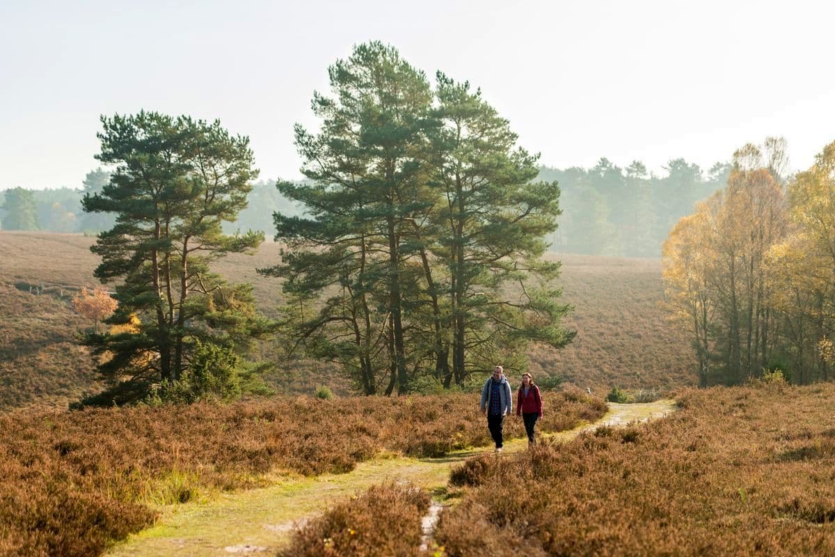 Tiefental, Misselhorner Heide, Hermannsburg