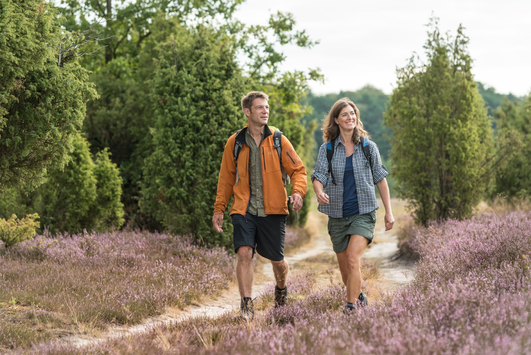 Wandern im Wacholderwald Schmarbeck bei Müden