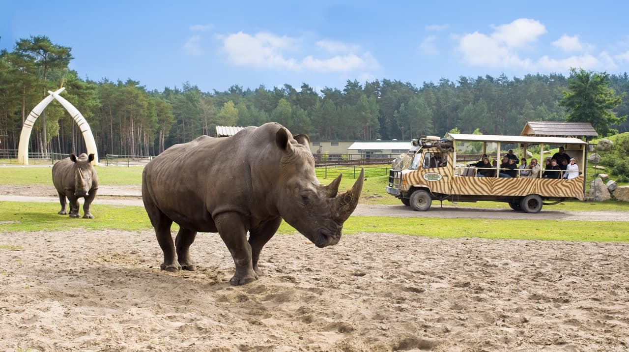 Der Serengeti Park liegt in Hodenhagen