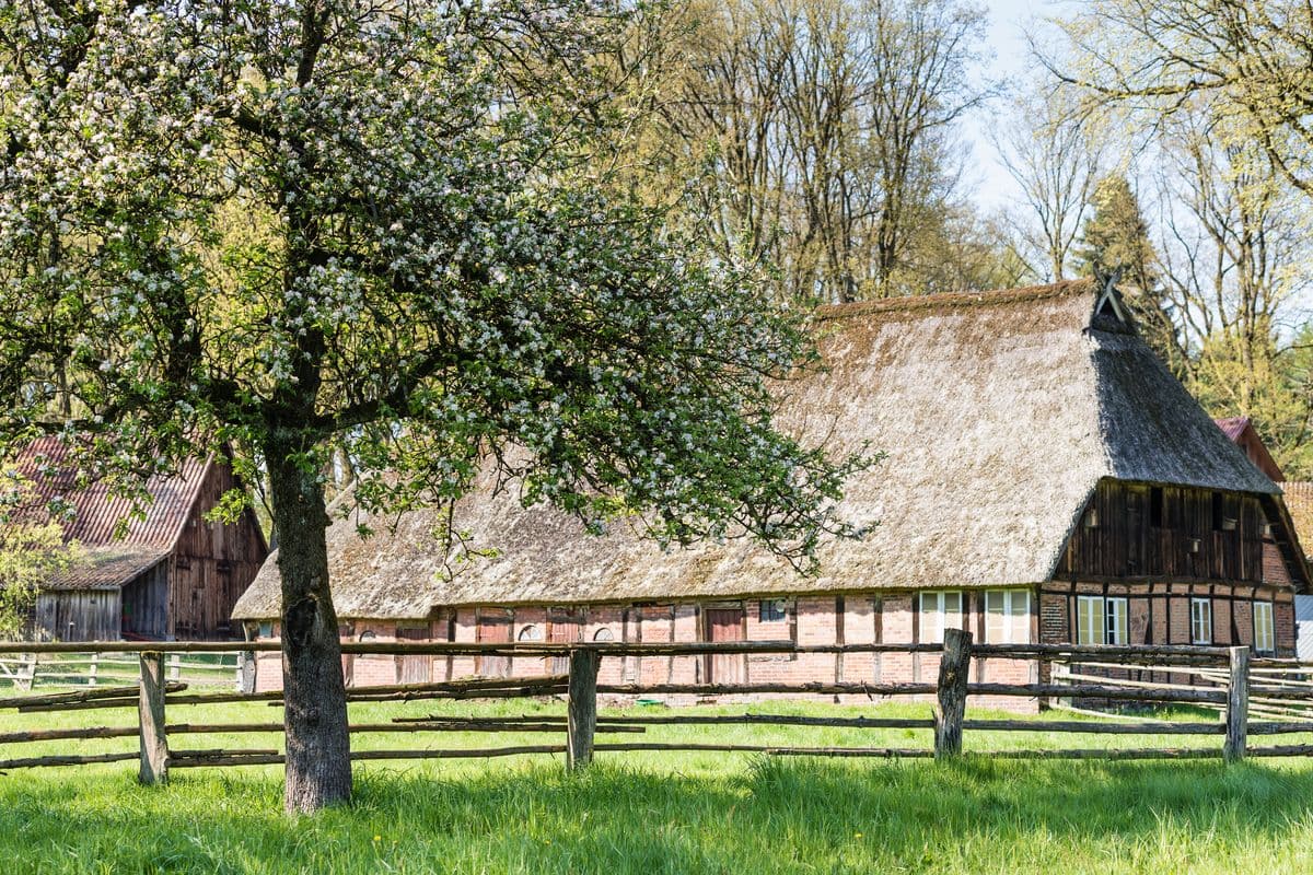 Fachwerkhaus in Undeloh am Naturschutzgebiet
