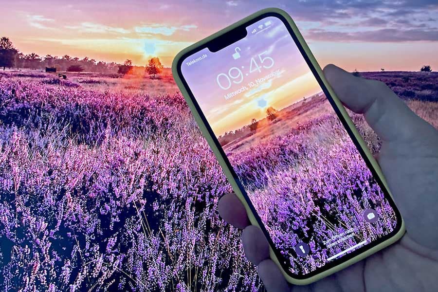 Kostenlose Hintergrundbilder fürs Handy - Lüneburger Heide Landschaft