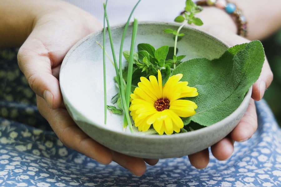 Ringelblume, Schnittlauch,Schale, kräutergarten