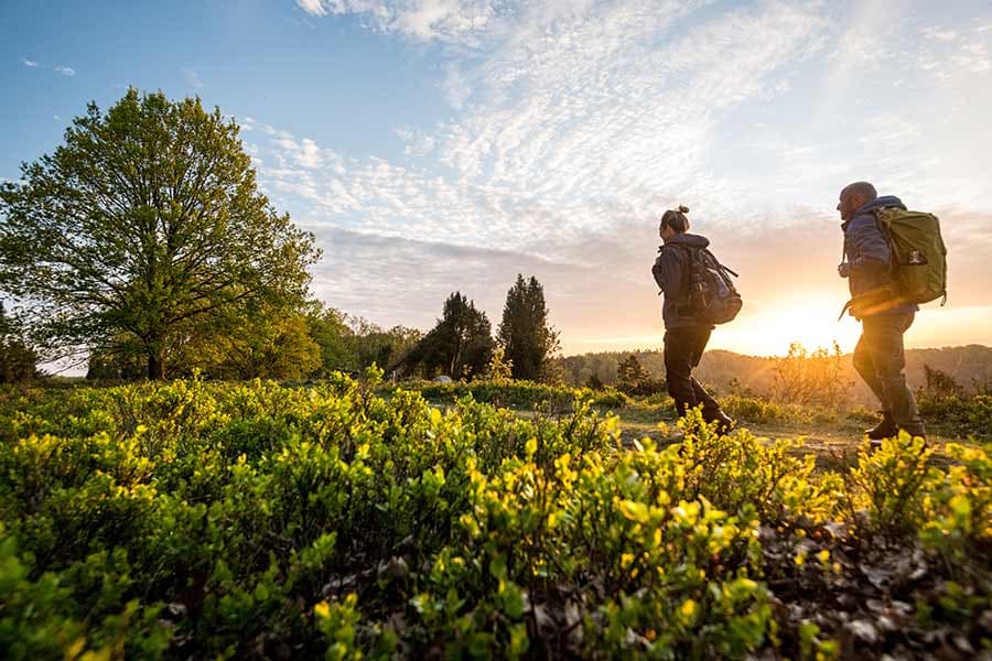 Wandern in der offenen Landschaft der Lüneburger Heide