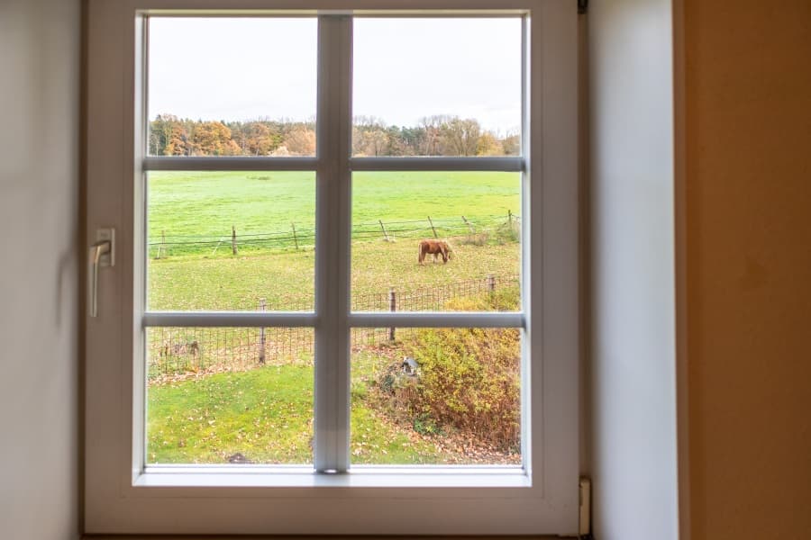 Ausblick aus der Küche der Ferienwohnung im Obergeschoss auf Hof Marwedel