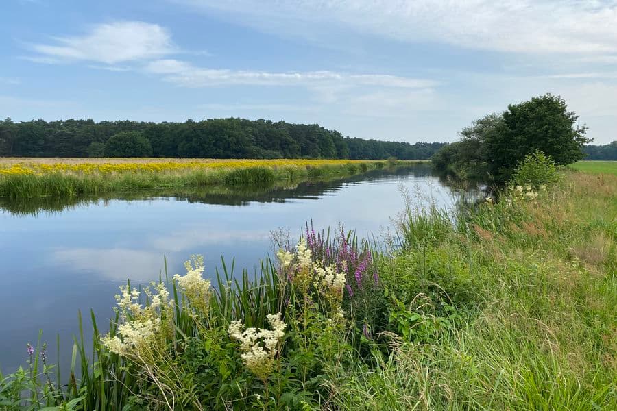 Auf der Radtour: Wiese an der Aller On the cycle tour: Meadow on the AllerPå cykelturen: Eng på AllerOp de fietstocht: Weide op de Aller
